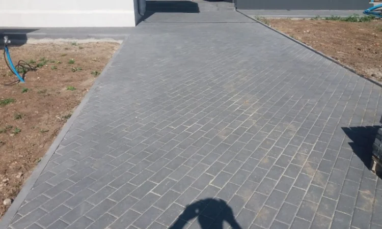 Укладка тротуарной плитки в Харькове - фото № 2