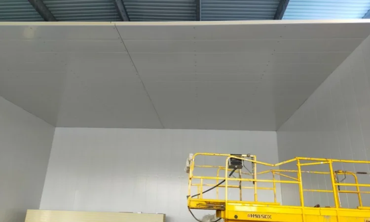 Сендвіч-панелі, фруктосховища, камери РГС, БМЗ, монтаж - фото № 2