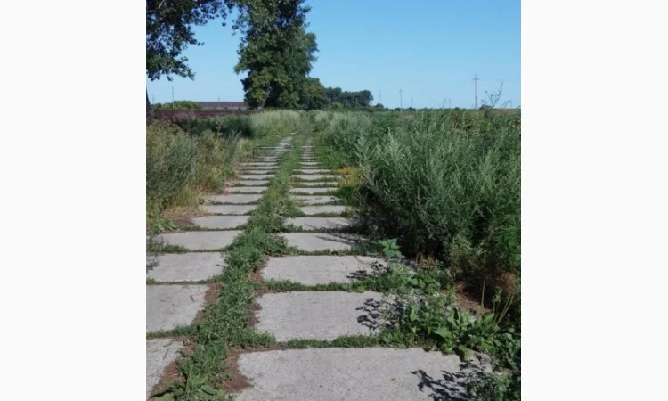 Дорожные ЖБИ плиты разных типов и размеров б/у - фото № 7