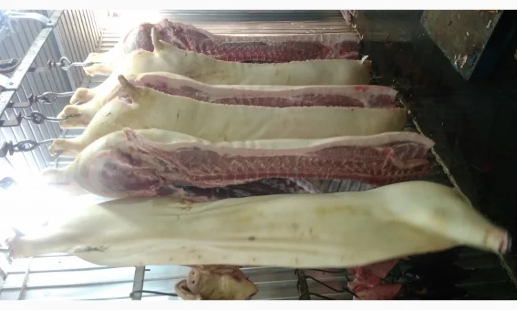 Свежая говядина и свинина в полутушах - фото № 2