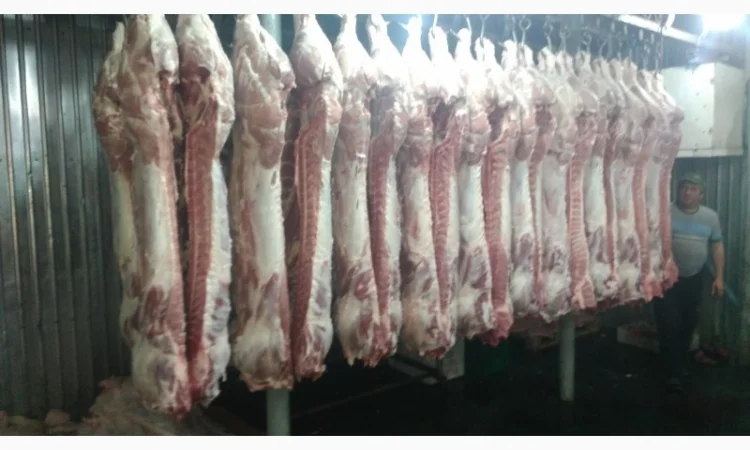 Свежая говядина и свинина в полутушах - фото № 4