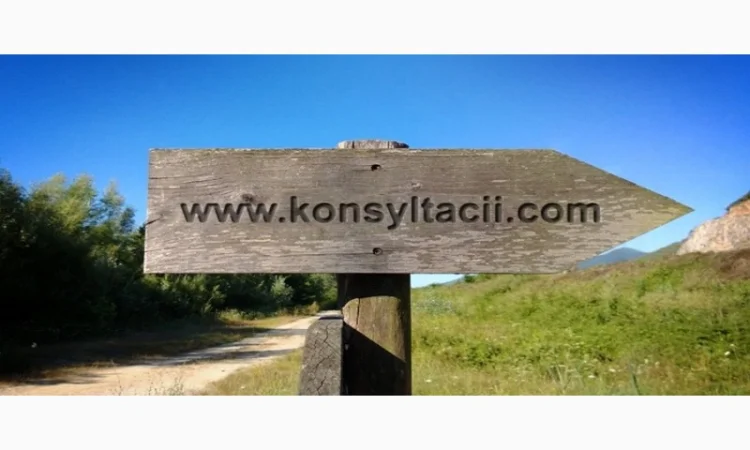 Оператор 1С - профессиональные услуги по управлению товаром - фото № 1