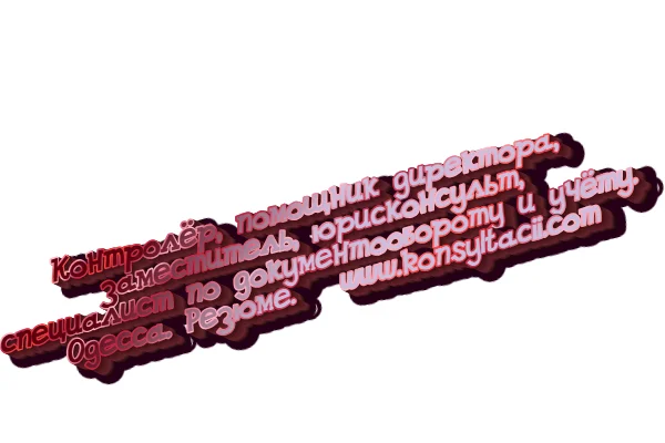 Оператор 1С - профессиональные услуги по управлению товаром - фото № 2