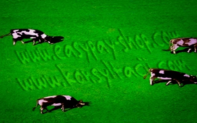 Менеджер по документообороту и логистике - фото № 1