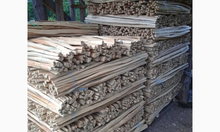 Купую ліщину та лупанку - фото № 2