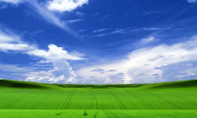 Куплю землю - фото № 1