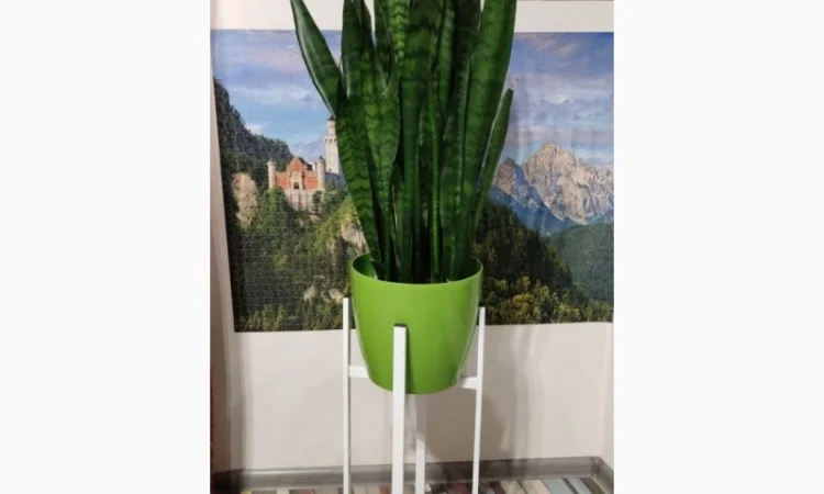 Подставка для цветов Евро стиль 40 см - фото № 2