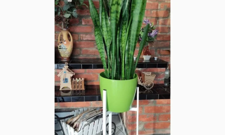 Подставка для цветов Евро стиль 40 см - фото № 3