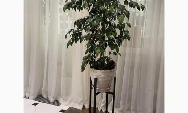 Подставка для цветов Евро стиль 40 см - фото № 5