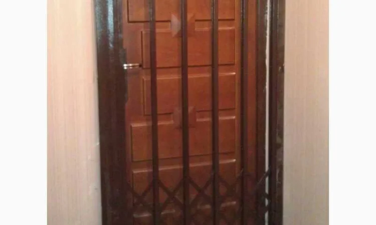 Раздвижные решетки Prof качественные для квартиры - фото № 1