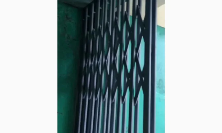 Розсувні решітки Боствиг Prof для ліфтів - фото № 1