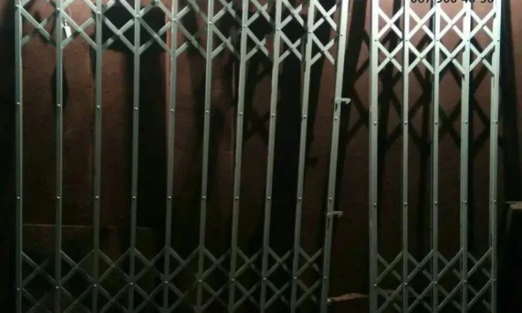 Розсувні решітки Боствиг Prof для ліфтів - фото № 4