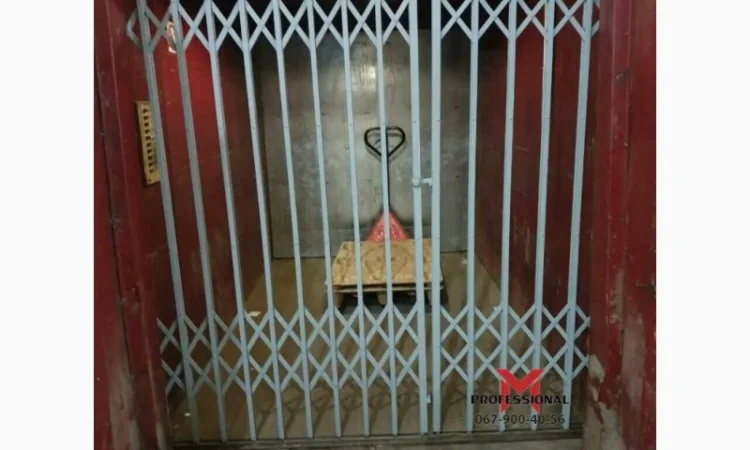 Розсувні решітки Боствиг Prof для ліфтів - фото № 5