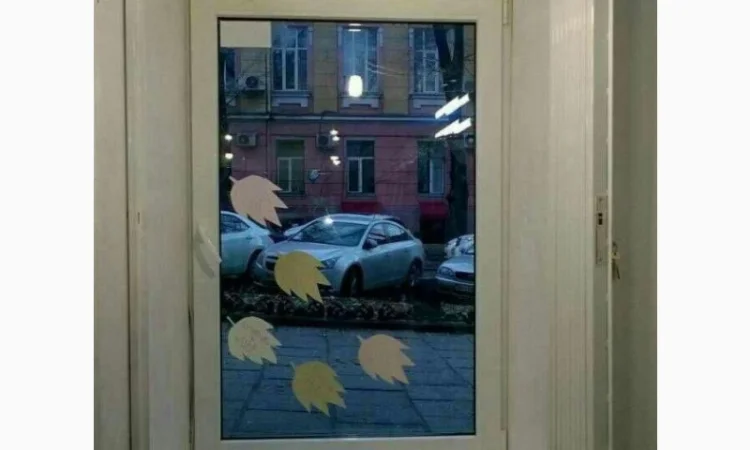 Розсувні грати Prof малих розмірів - фото № 4