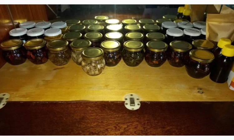 Від болів у спині, суглобах, м'язах мазі і гелі - фото № 11