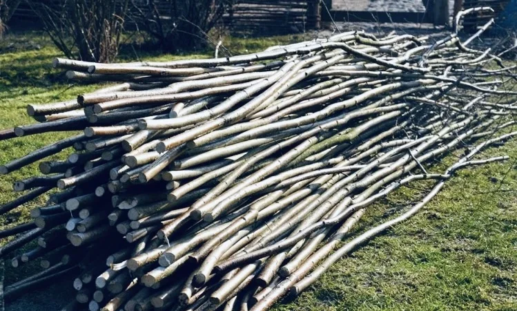 Купую ліщину та рулонні огорожі з ліщини гуртом - фото № 3