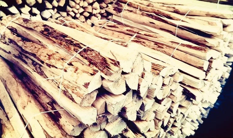 Купую ліщину та рулонні огорожі з ліщини гуртом - фото № 4