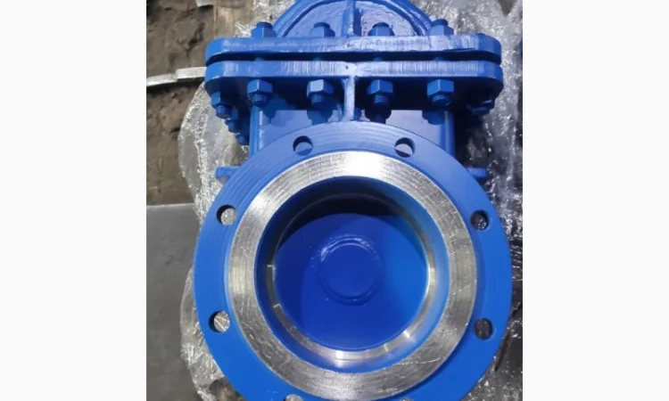 Задвижка 30нж42нж Ду 150 у продажу - фото № 12