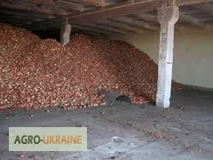 Теплоизоляция пенополиуретаном для овощехранилищ и промышленных объектов - фото № 4