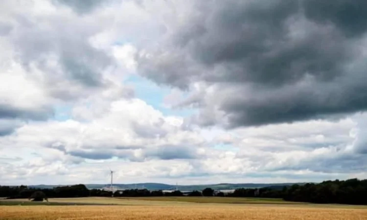 Куплю агрокомпанію, фермерське господарство Вінницька область - фото № 2