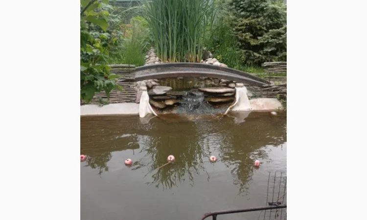 Будівництво різного типу водойм з подальшим зарибленням осетровими та бслуговуванням - фото № 1