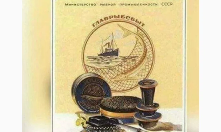 Будівництво різного типу водойм з подальшим зарибленням осетровими та бслуговуванням - фото № 2