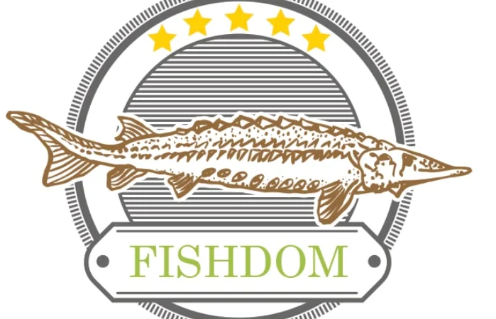 Будівництво різного типу водойм з подальшим зарибленням осетровими та бслуговуванням - фото № 3