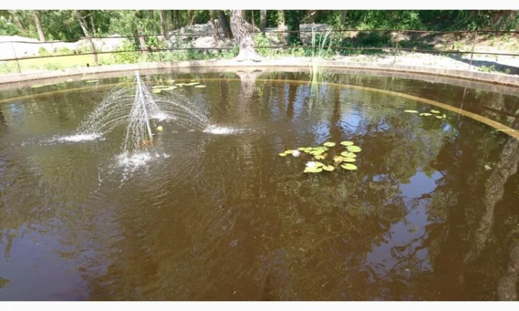 Будівництво різного типу водойм з подальшим зарибленням осетровими та бслуговуванням - фото № 5