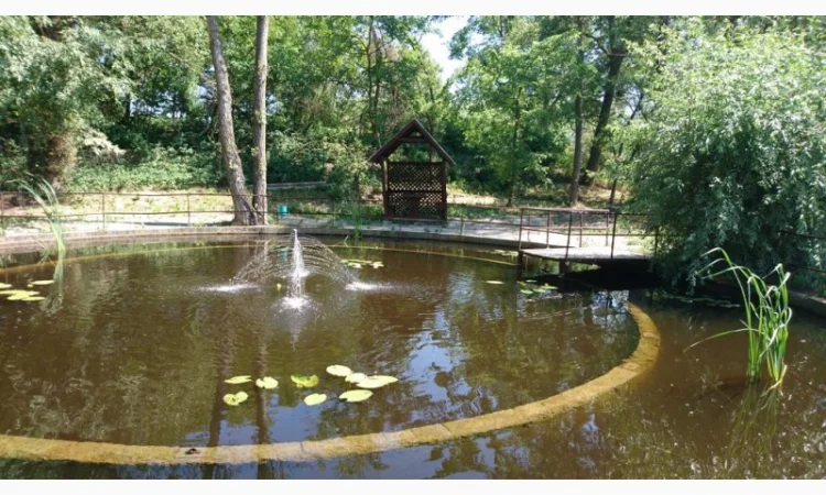 Будівництво різного типу водойм з подальшим зарибленням осетровими та бслуговуванням - фото № 6