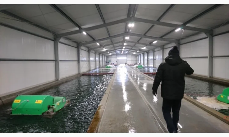 Будівництво різного типу водойм з подальшим зарибленням осетровими та бслуговуванням - фото № 8