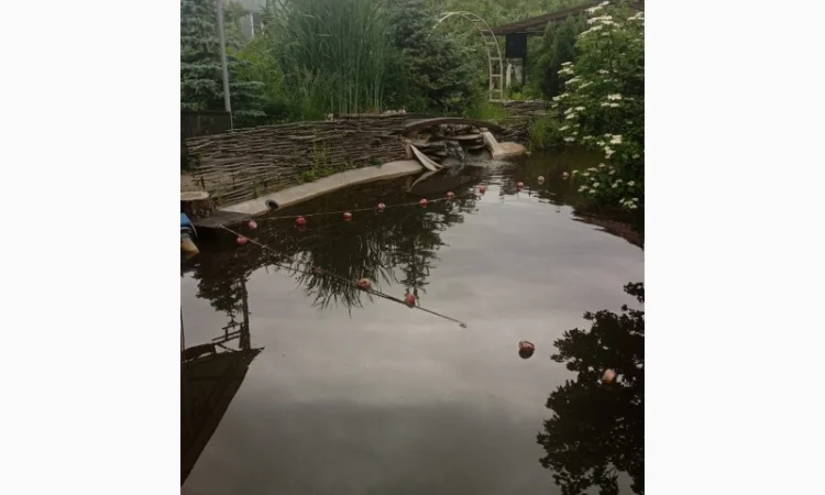 Будівництво різного типу водойм з подальшим зарибленням осетровими та бслуговуванням - фото № 9