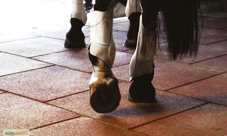 Резиновая плитка для Конюшен (денников) - фото № 2