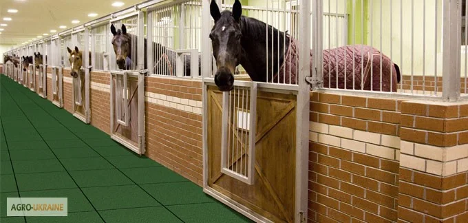 Резиновая плитка для Конюшен (денников) - фото № 3