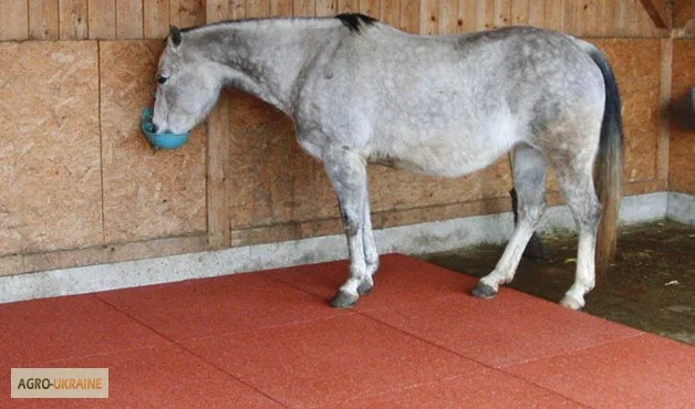 Резиновая плитка для Конюшен (денников) - фото № 4