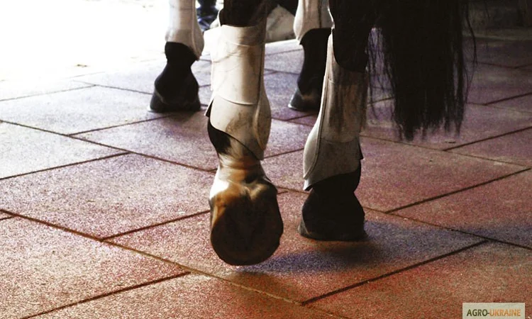 Резиновые дорожки для дачи и загородного дома - фото № 1