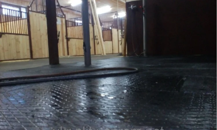 Резиновая плитка для конюшни - фото № 1