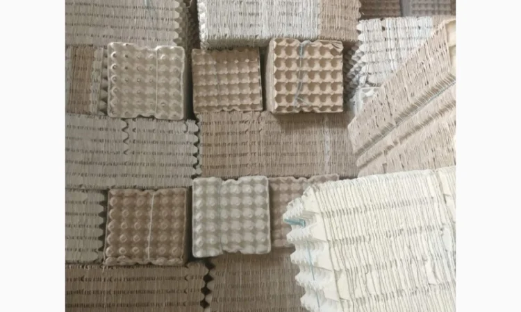 Лоток яичный прокладка бугорчатая - фото № 1