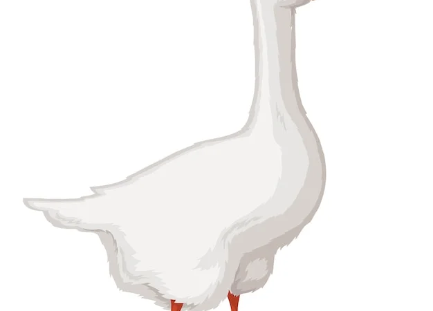 Куплю пір'я - фото № 1