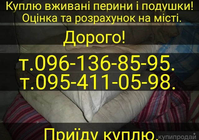 Купуємо б/у перья та свіже утине і гусине - фото № 1