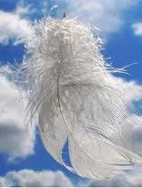 Куплю Закуповую Пух Перо свіже Гусяче, Качине, Бу перини подушки - фото № 1