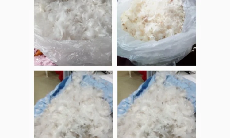 Закуповуємо пір'я гусяче, качине, старі подушки, перини.Украіна - фото № 1