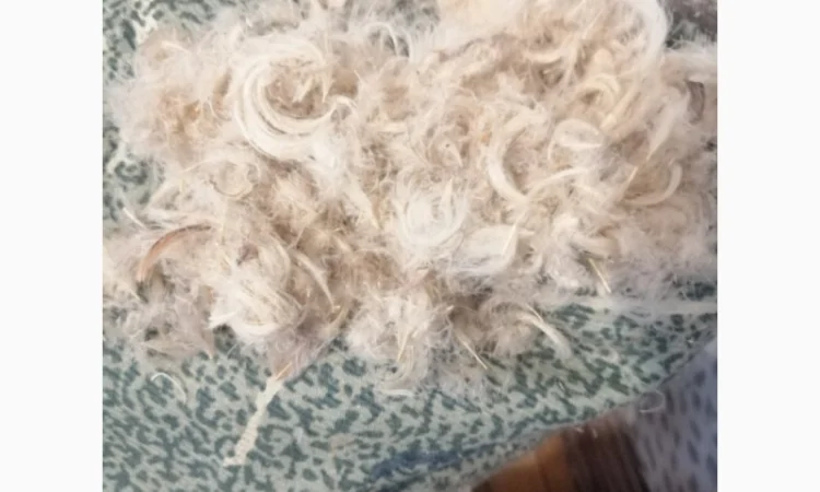 Пройом пір'я, подушки перини - фото № 1