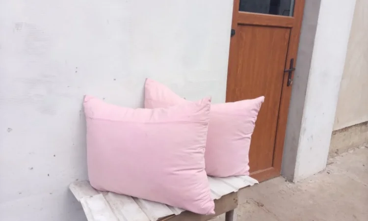 Купуємо пір'я - фото № 1