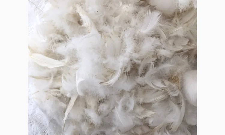 Продаём пух перо - фото № 1