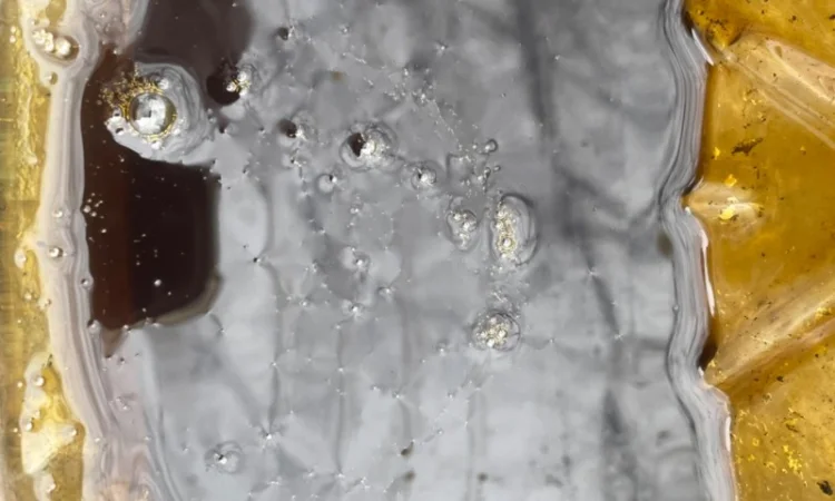 Масло технічне, масло техническое, олія - фото № 2