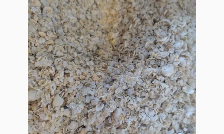 Отходы желтого гороха от производителя - фото № 1