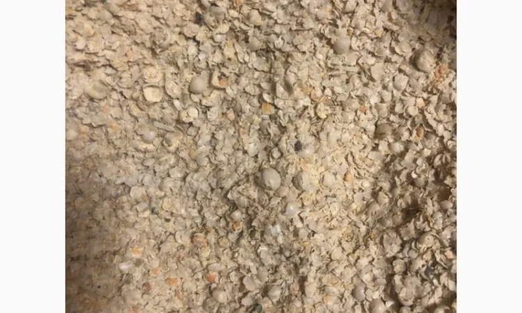 Відходи горохого виробництва - фото № 1