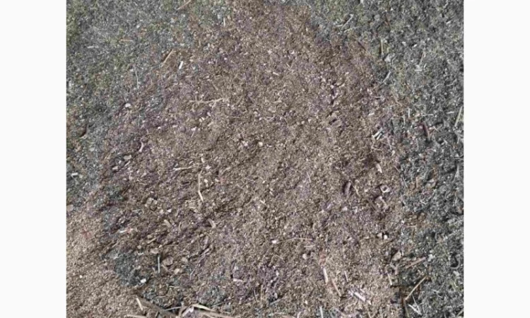 Продаються зерновідходи - фото № 1