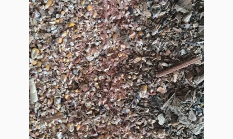 Продаються зерновідходи - фото № 2