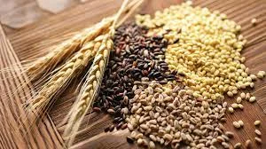 Закупаємо відходи сільскогосподарського виробництва в великих об'ємах - фото № 1